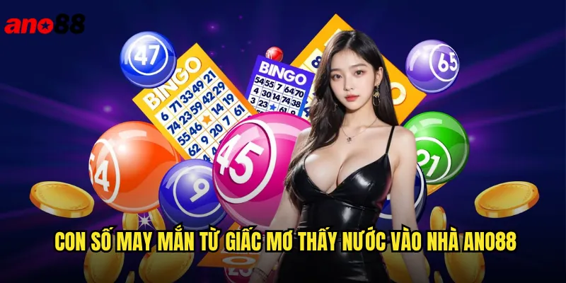 Con Số May Mắn Từ Giấc Mơ Thấy Nước Vào Nhà ano88